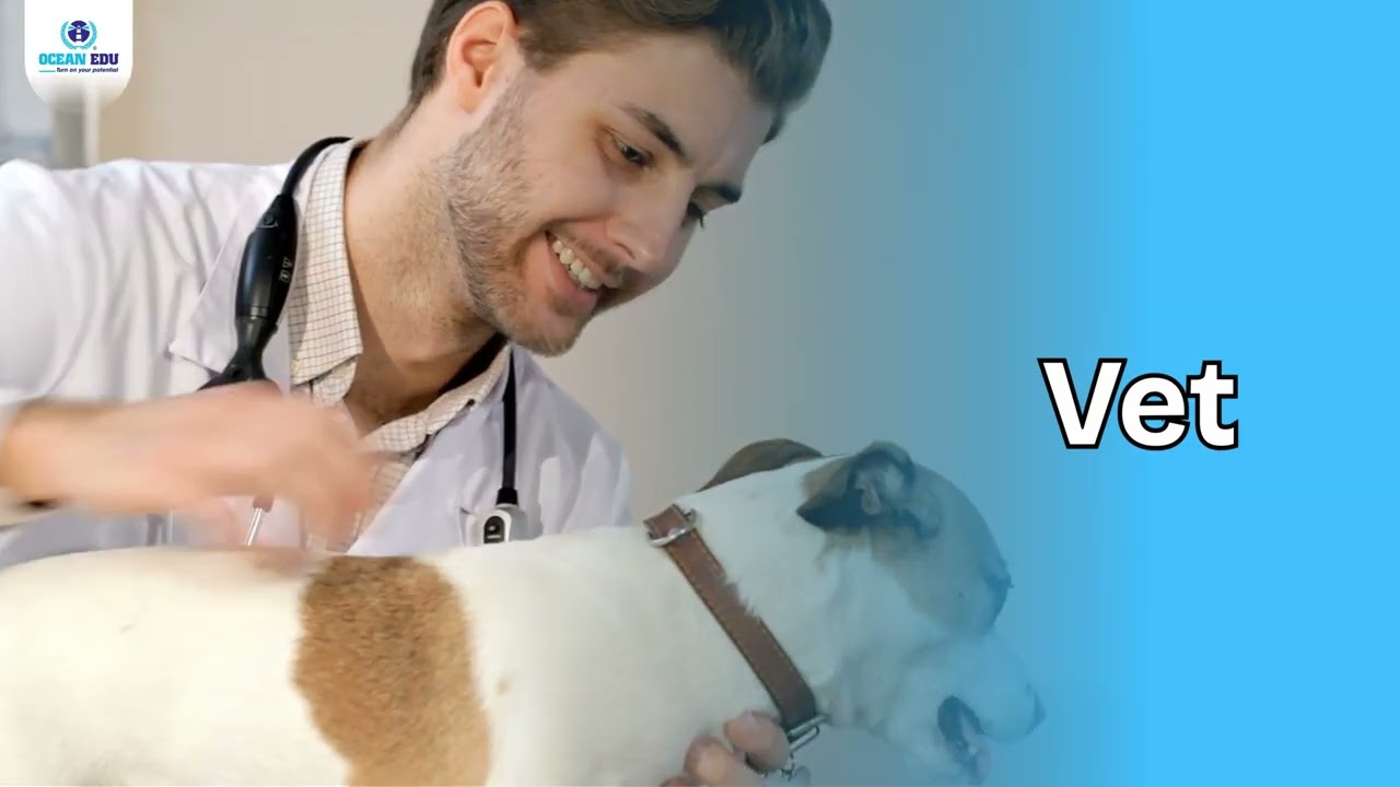 🌈 WHO DO YOU WANT TO BE? – DREAM JOBS FOR KINDY 🌈