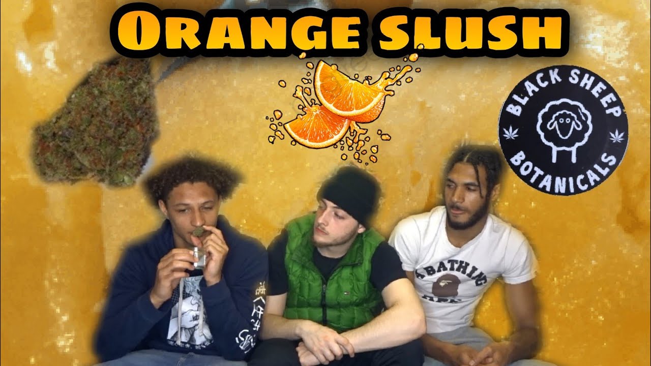 Orange slush weed review | Black sheep botanicals| spaceboyz