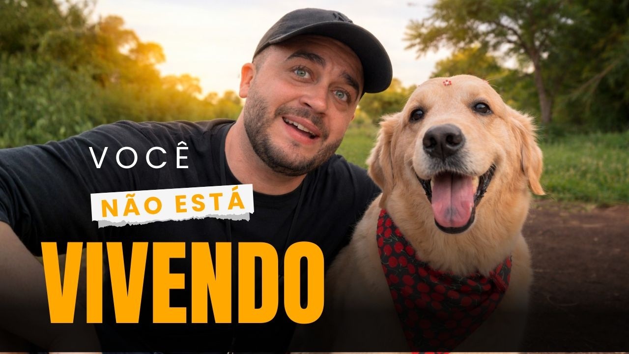 Você vai sentir saudade disso aqui.