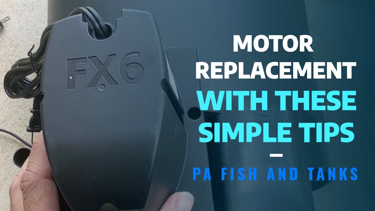Fluval’s FX5 Canister Filter MOTOR REPLACMENT