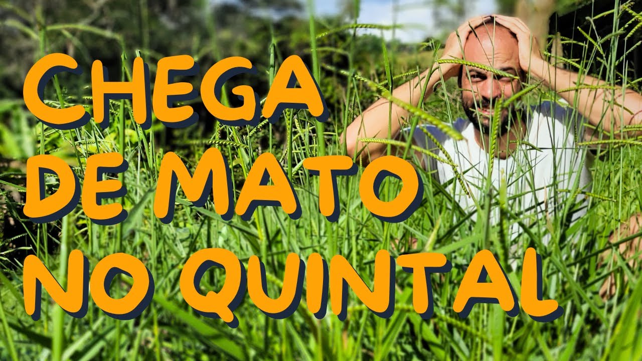 Como Acabar com Mato sem Usar Veneno