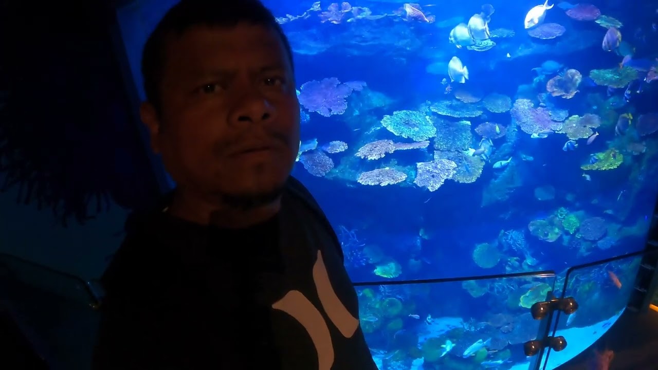 Siam Paragon Mall & Sea Life Bangkok