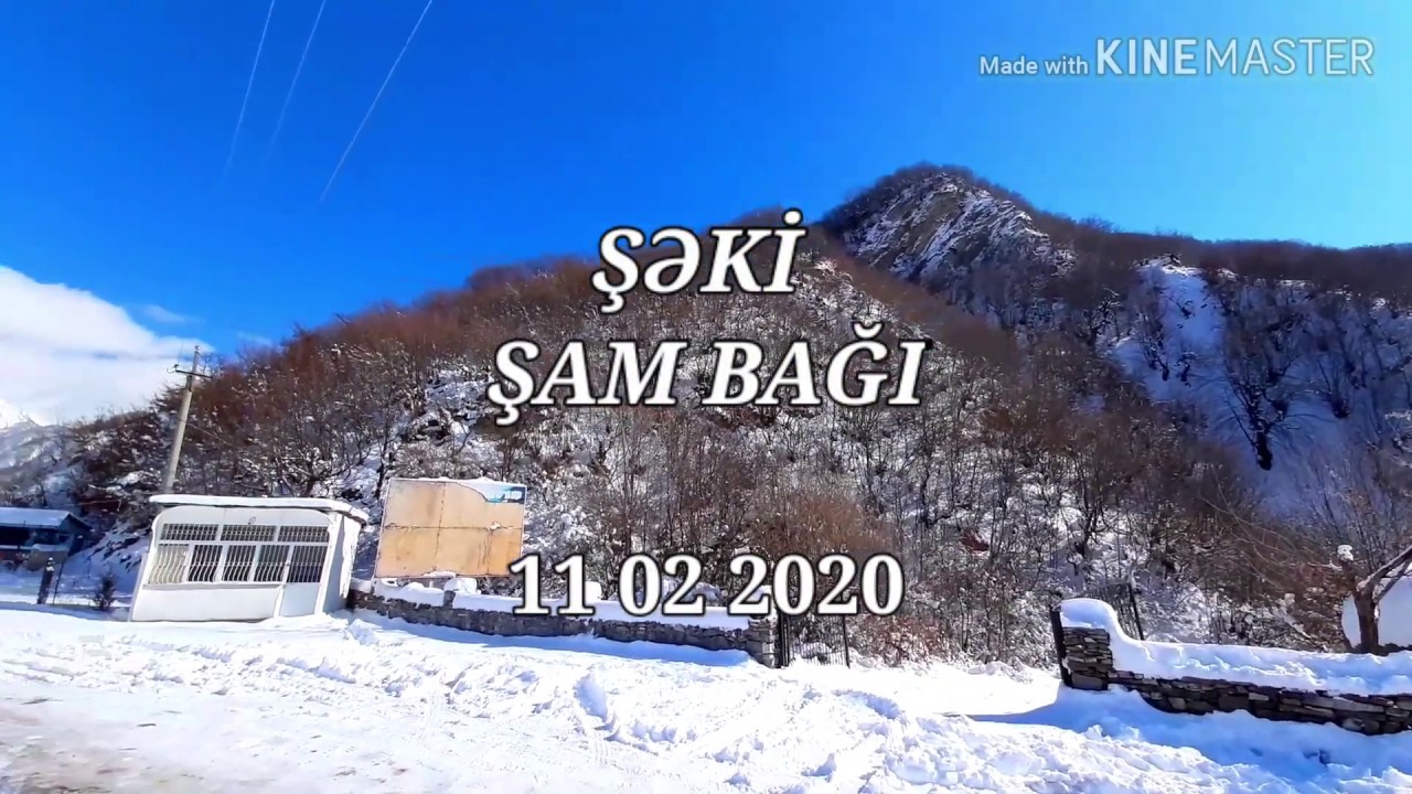 Şəki  Şam Bağı 2020