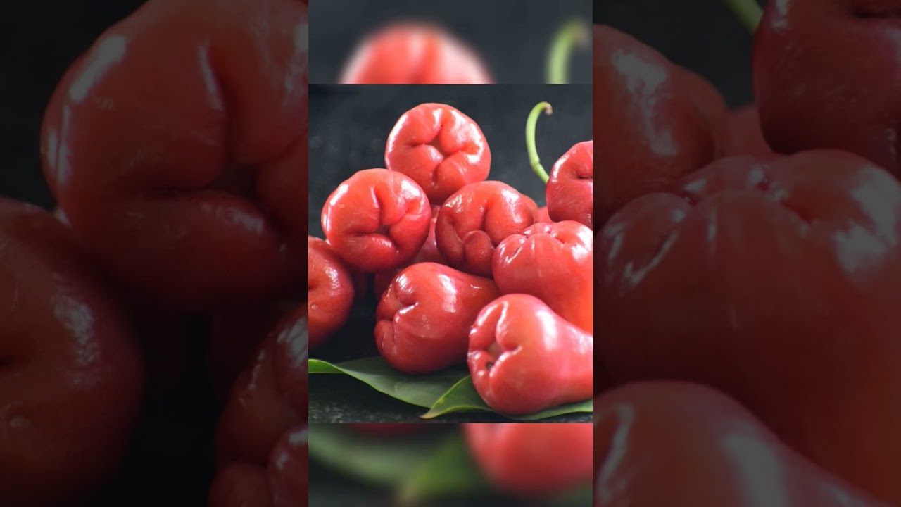 Bell fruit #bellfruit #fruit #fruits #viral #ytshorts #trending #youtube #shorts