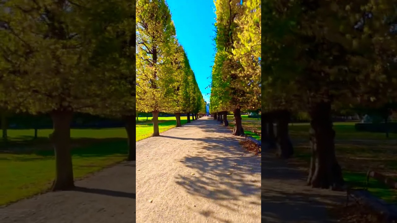Walk Through Autumn Vibes 😵😵😵 #shorts #foryou #copenhagen #ytshorts