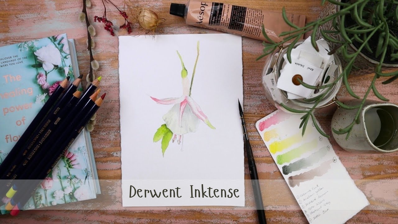 Как нарисовать фуксию с помощью Inktense