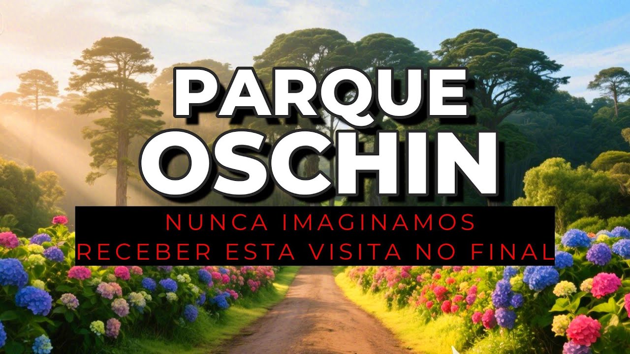 PARQUE OSCHIN - DEZEMBRO 2024 - MONTE VERDE #viagem #monteverde #natal #minasgerais