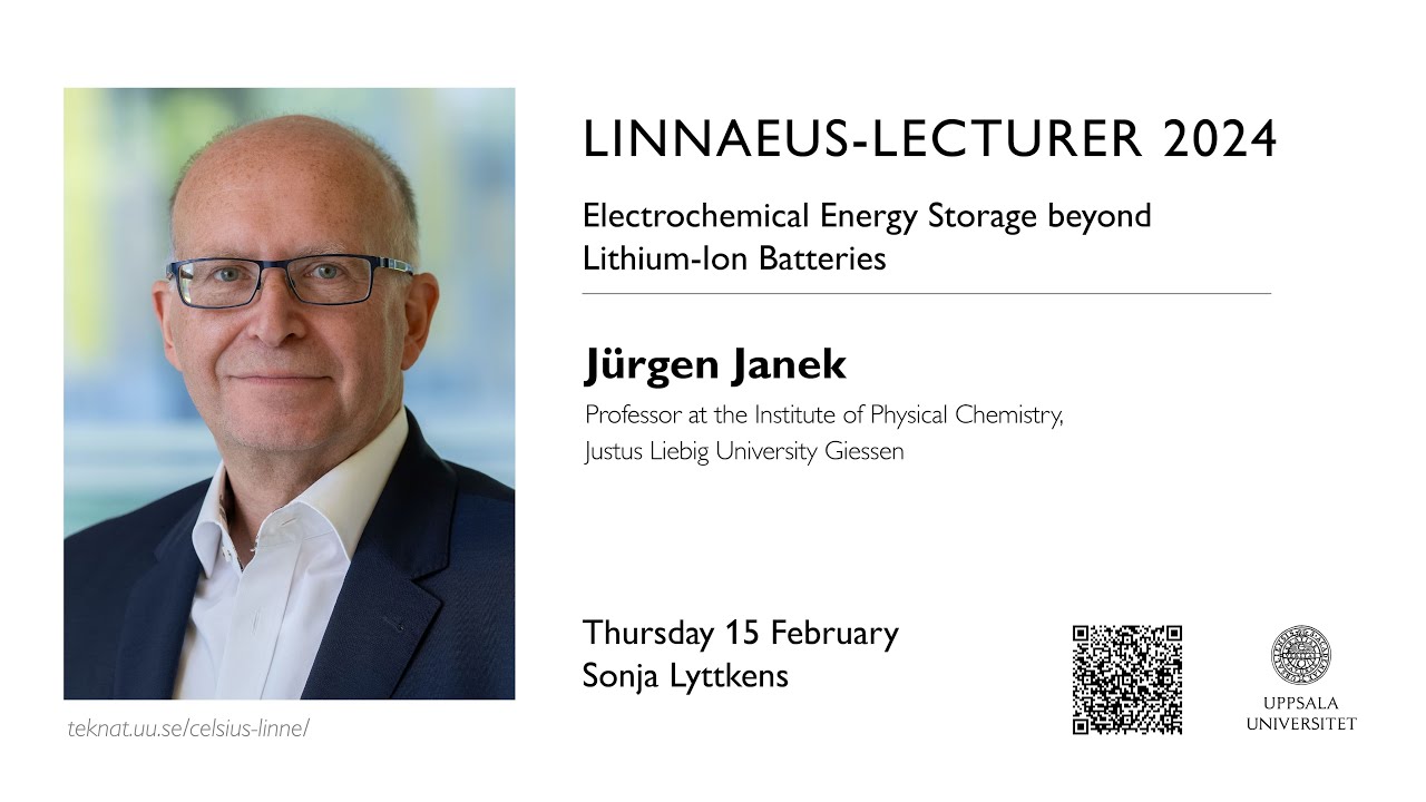 Linnaeus-Lecture 2024: Electrochemical Energy Storage beyond Lithium-Ion Batteries