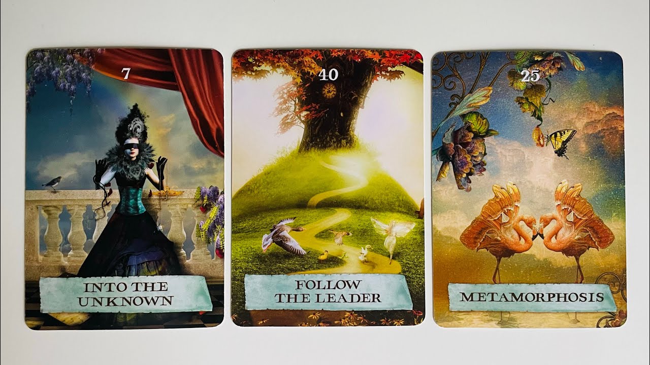 What Will be Revealed to You Soon - Pick a Card - Timeless Tarot
