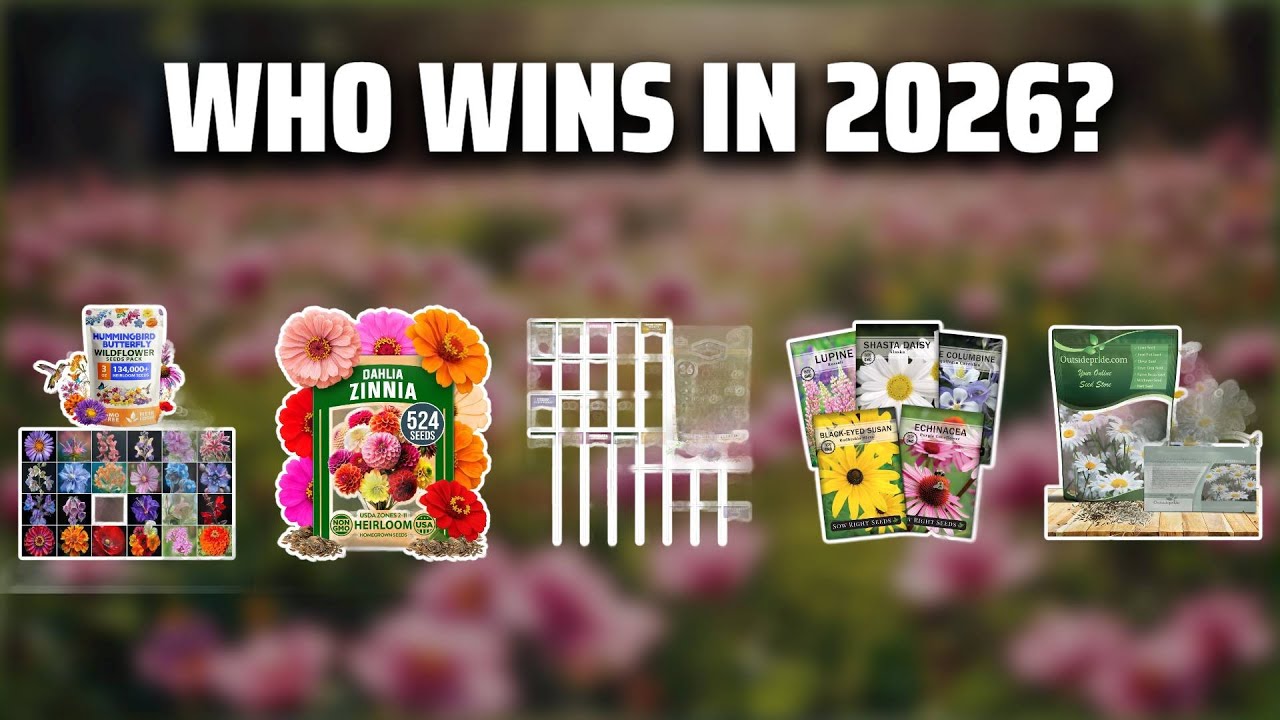 The Top 5 Best Daisy Seeds in 2026 - Must Watch Before Buying!