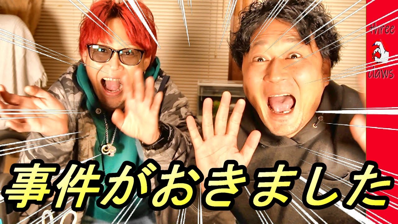 【活動再開】しかしヤス兄が・・・・