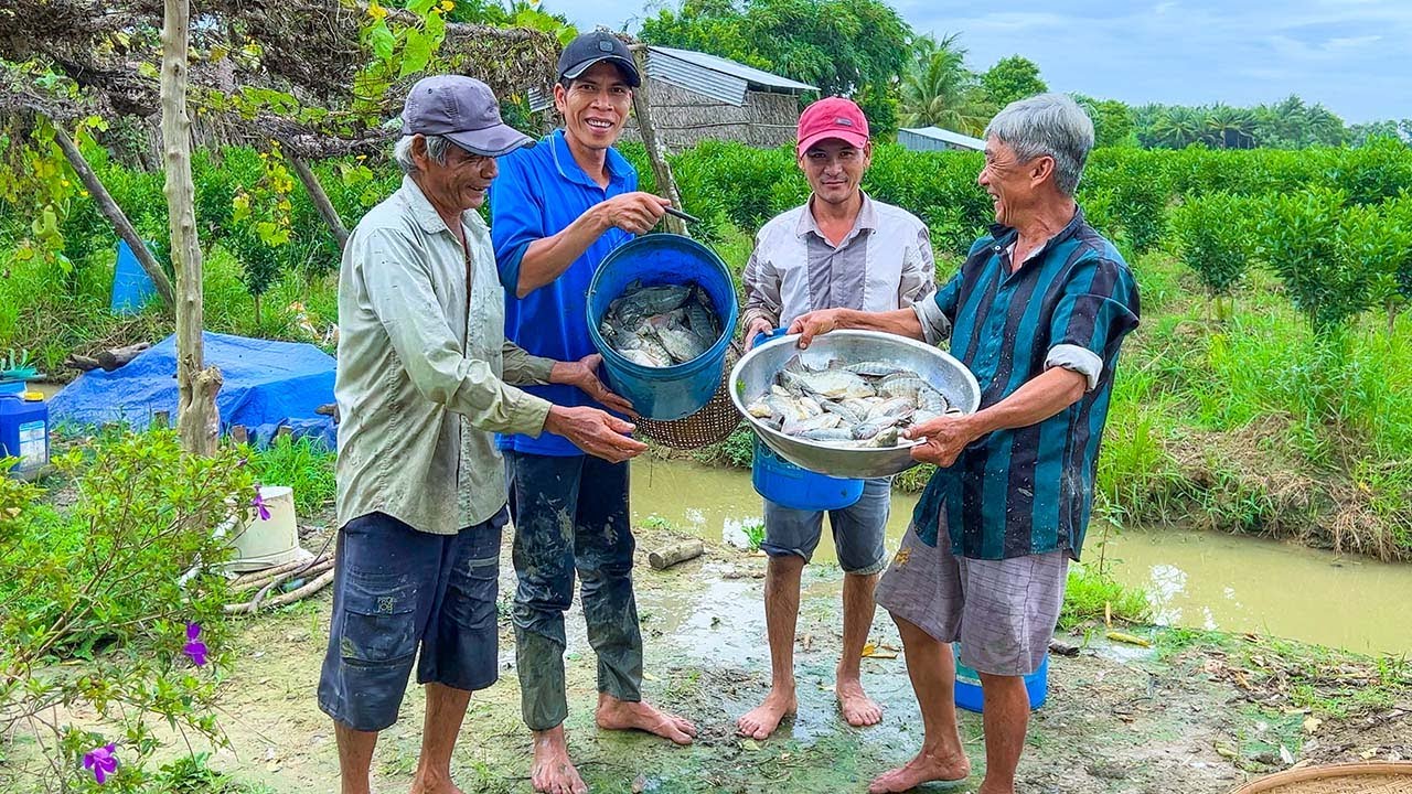 Nghĩ  Bắt Vài Con Cá Thôi Ai Ngờ Chú Sơn Xách Không Nổi Ấm Áp Nồi Lẩu Mắm Quê Hương || Bếp Đồng