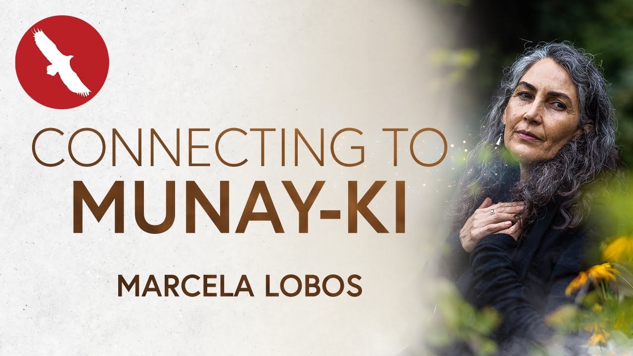 Connecting to MUNAY-KI