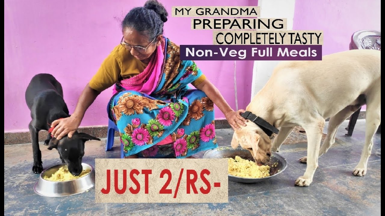 Dog Complete Non-Veg Full Meals - Healthy Meals - Just 2 Rupees/Meals in 5-Minutes