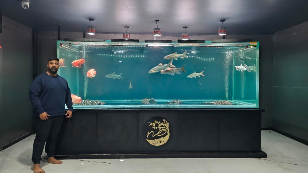 Big Monster Fish Tank at Nana Exotic