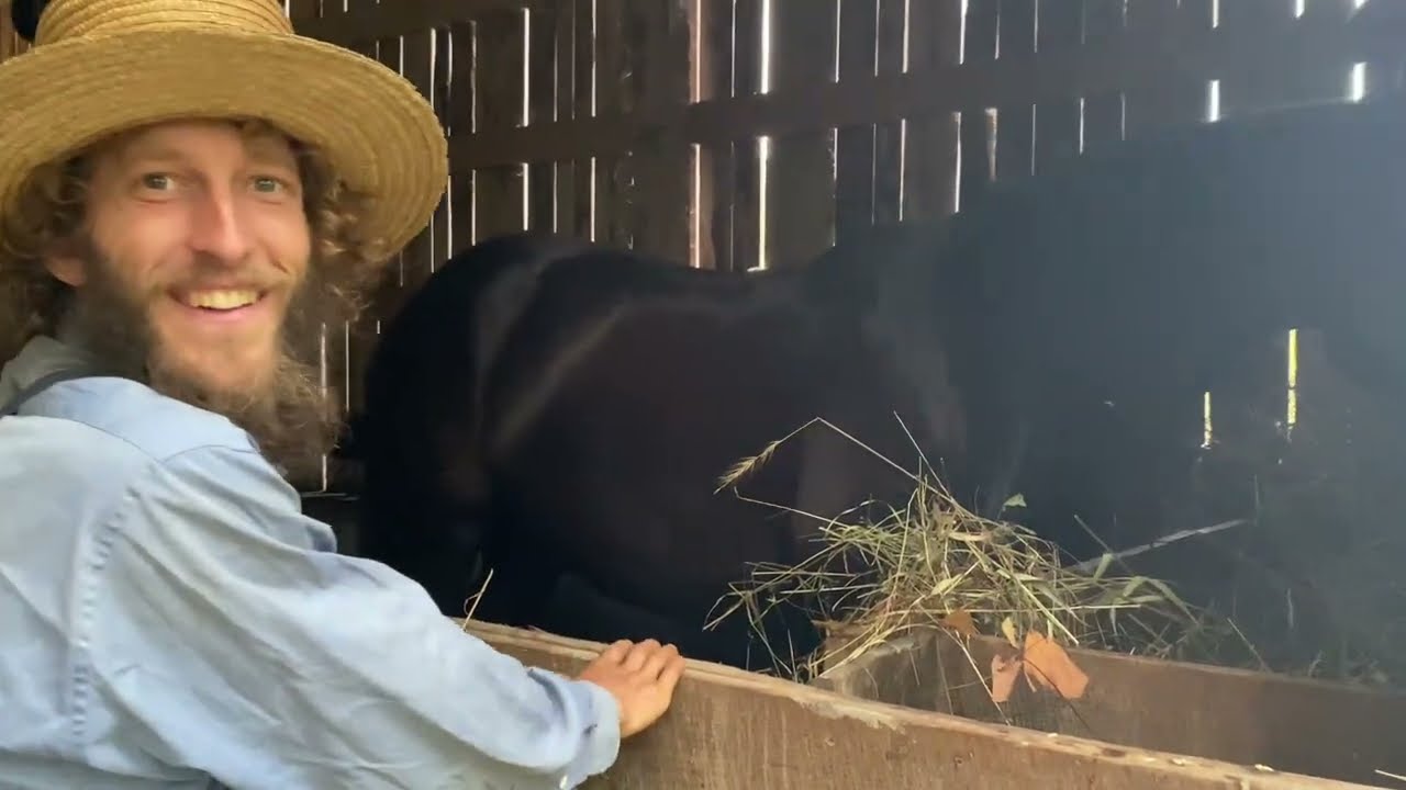 Transporting Lumber To The House of Prayer | Titus Morris | #farming101 #horse #farmingtraditions 