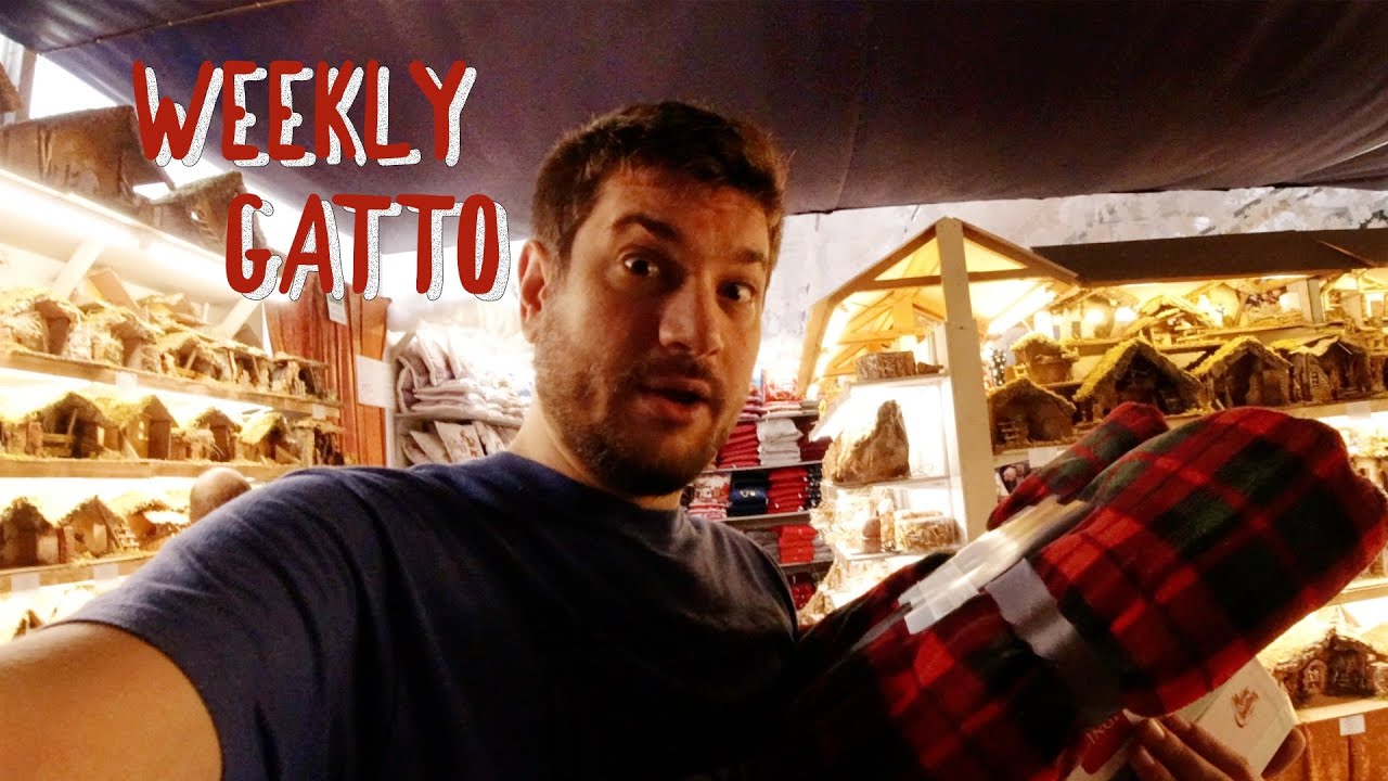 Almost Christmas! - Weekly Gatto