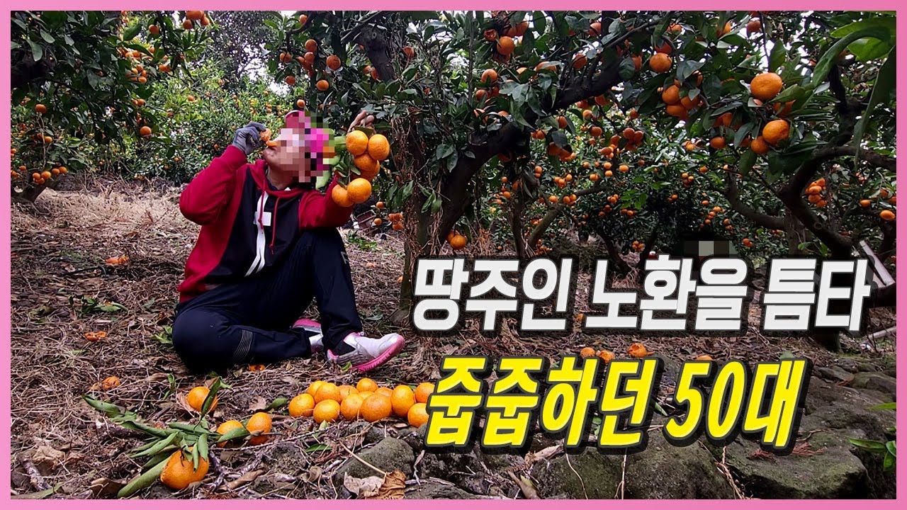 방치된 곳 줍줍하던 50대 아줌마.V144