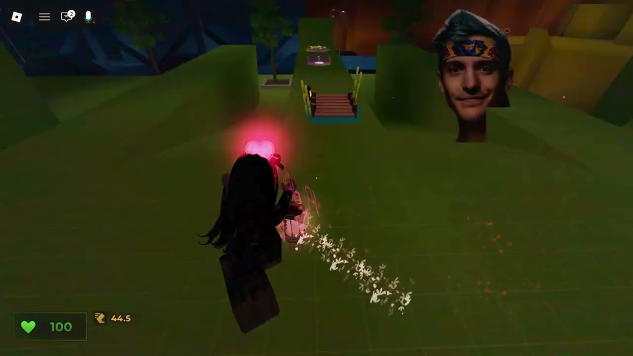 playing evade