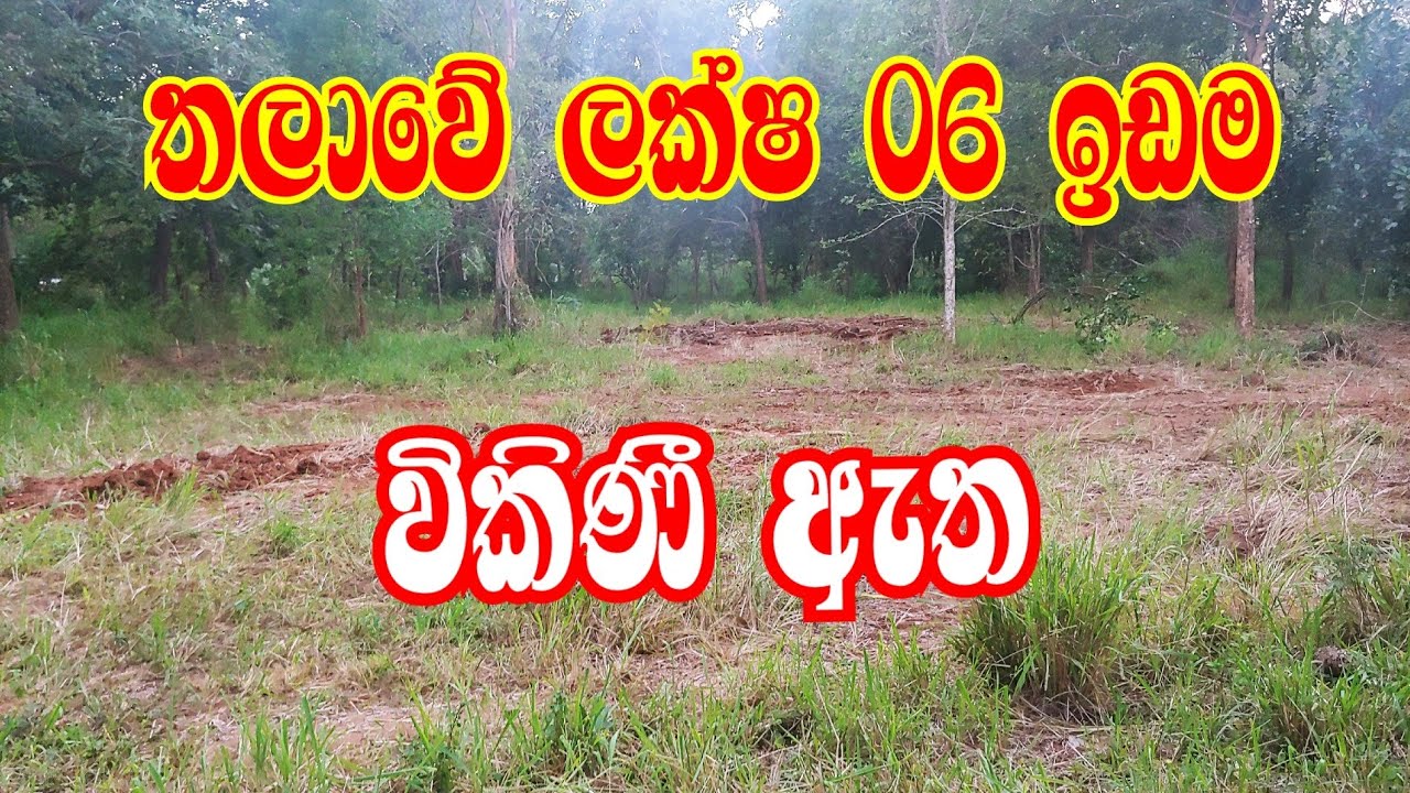 තලාවෙන් ලක්ෂ 06 ඉඩම|aduwata idam|kalu malli|talawa|