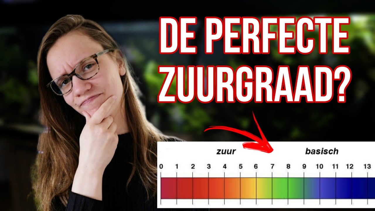 De PERFECTE Zuurgraad/pH voor AQUARIUMVISSEN! //Nickey//