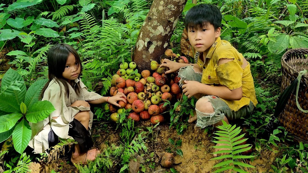 boy orphaned parents-find fruit to sell and sell for a living-Boy orphaned parents