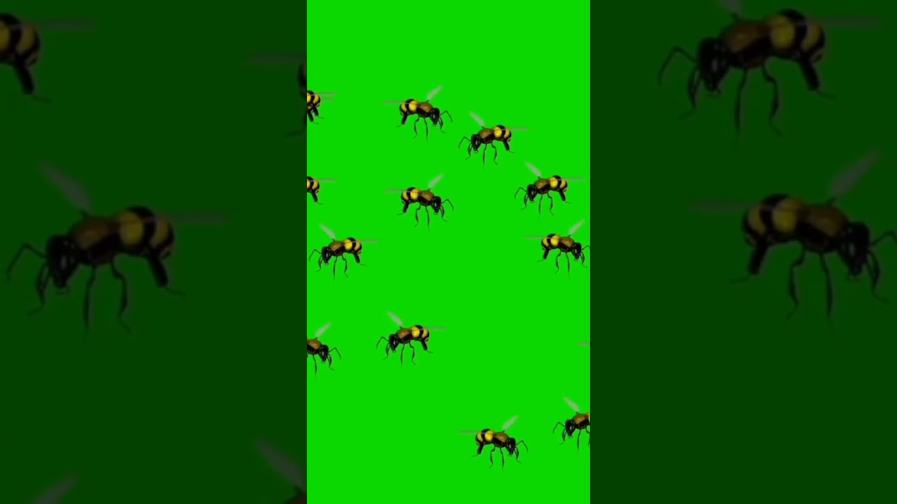 Green Screen Bee Character Video No Copyright #shorts