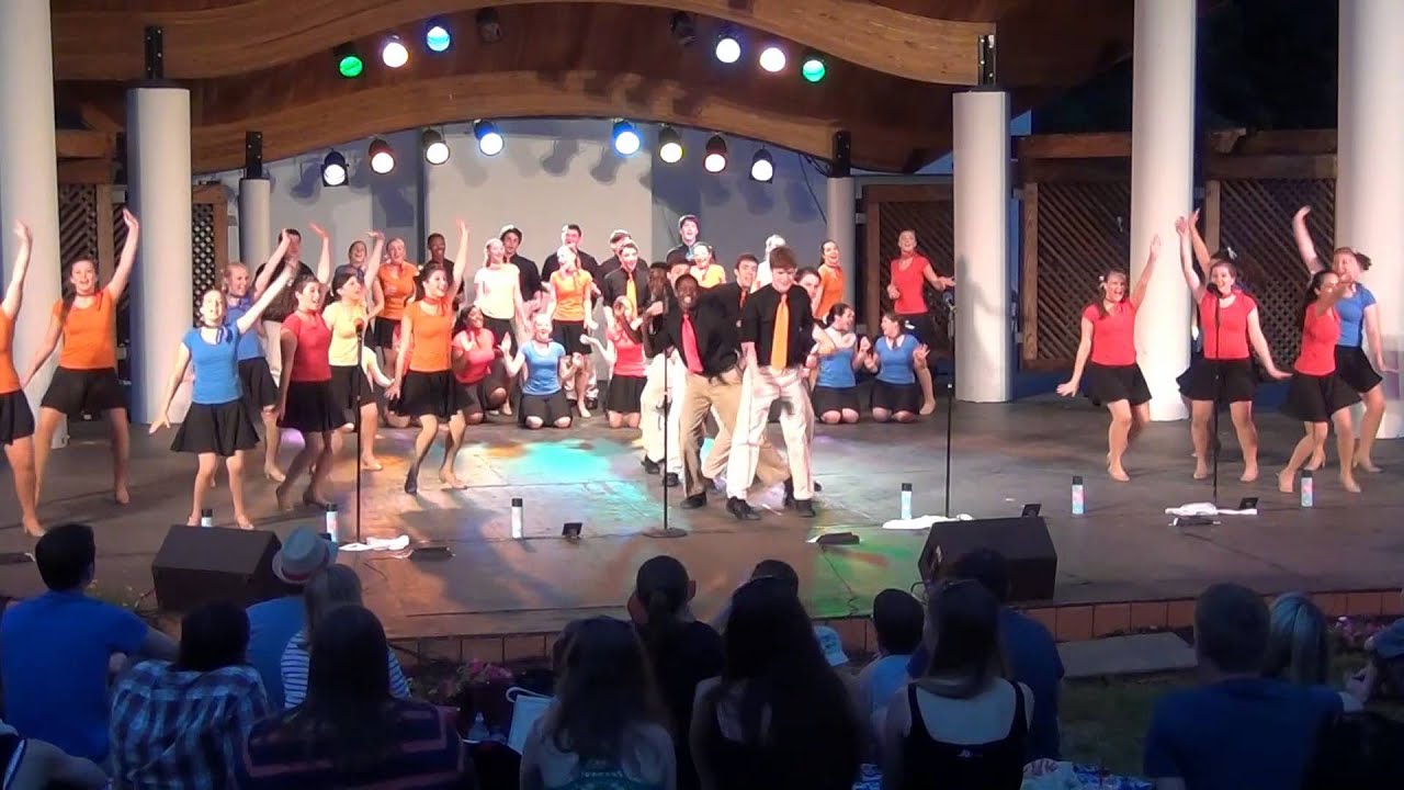 2014 Rose Tree Park Concert - Upper Darby Summer Stage Shooting Stars