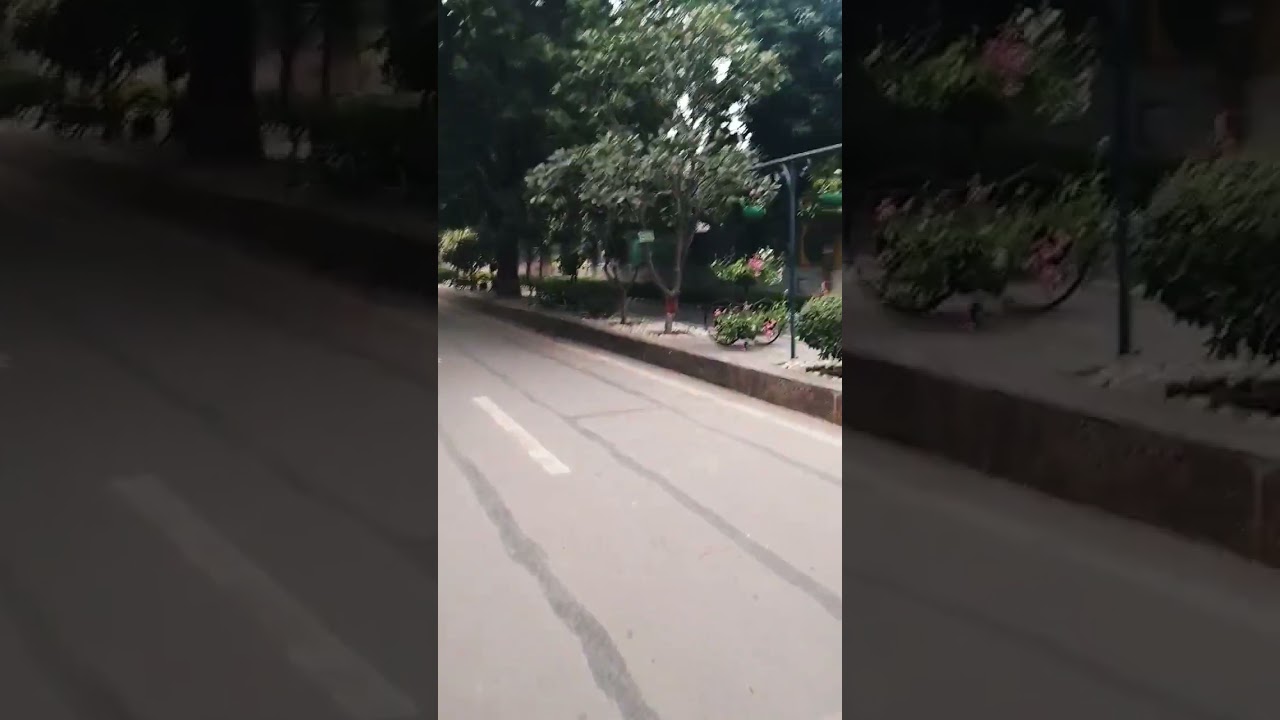 Beautification of Roads! #viral #shorts