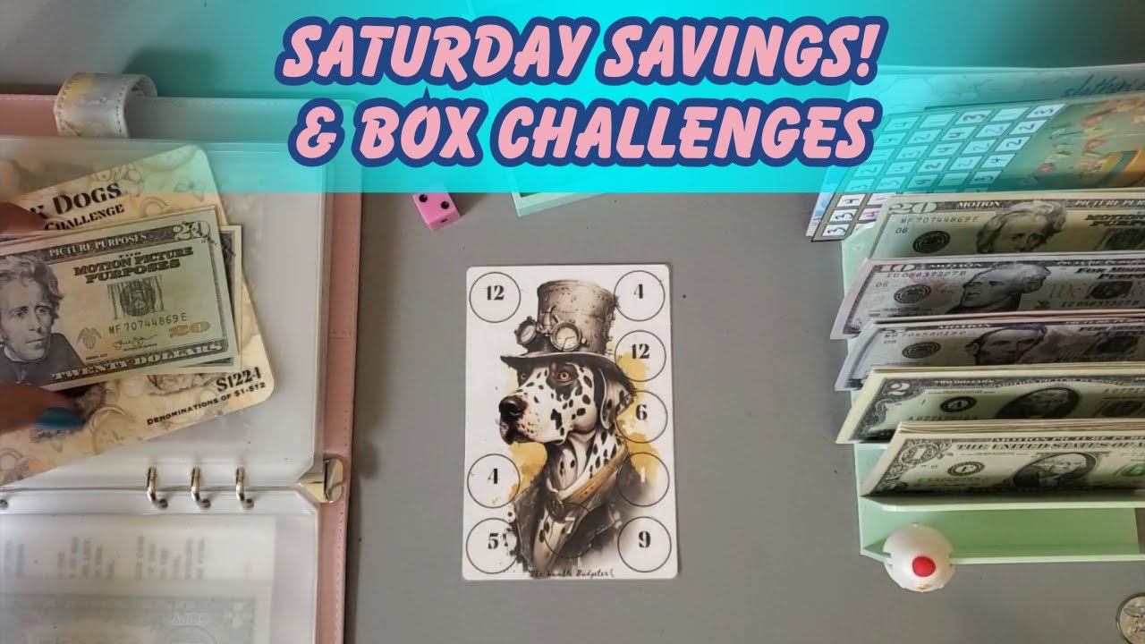 Saturday Savings! | Box Challenges | June 21st | #savingschallenges