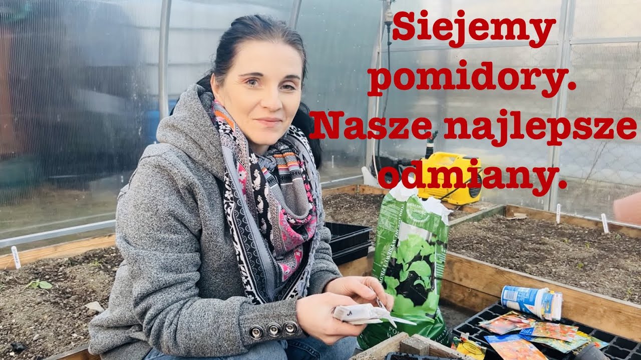 Siejemy pomidory,nasze najlepsze odmiany.