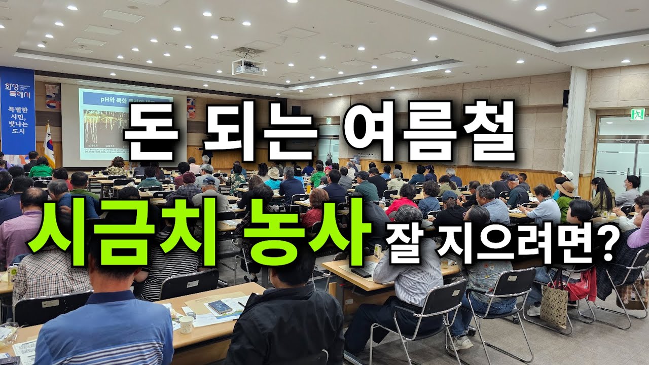 돈 되는 여름철 시금치 농사 잘 지으려면?