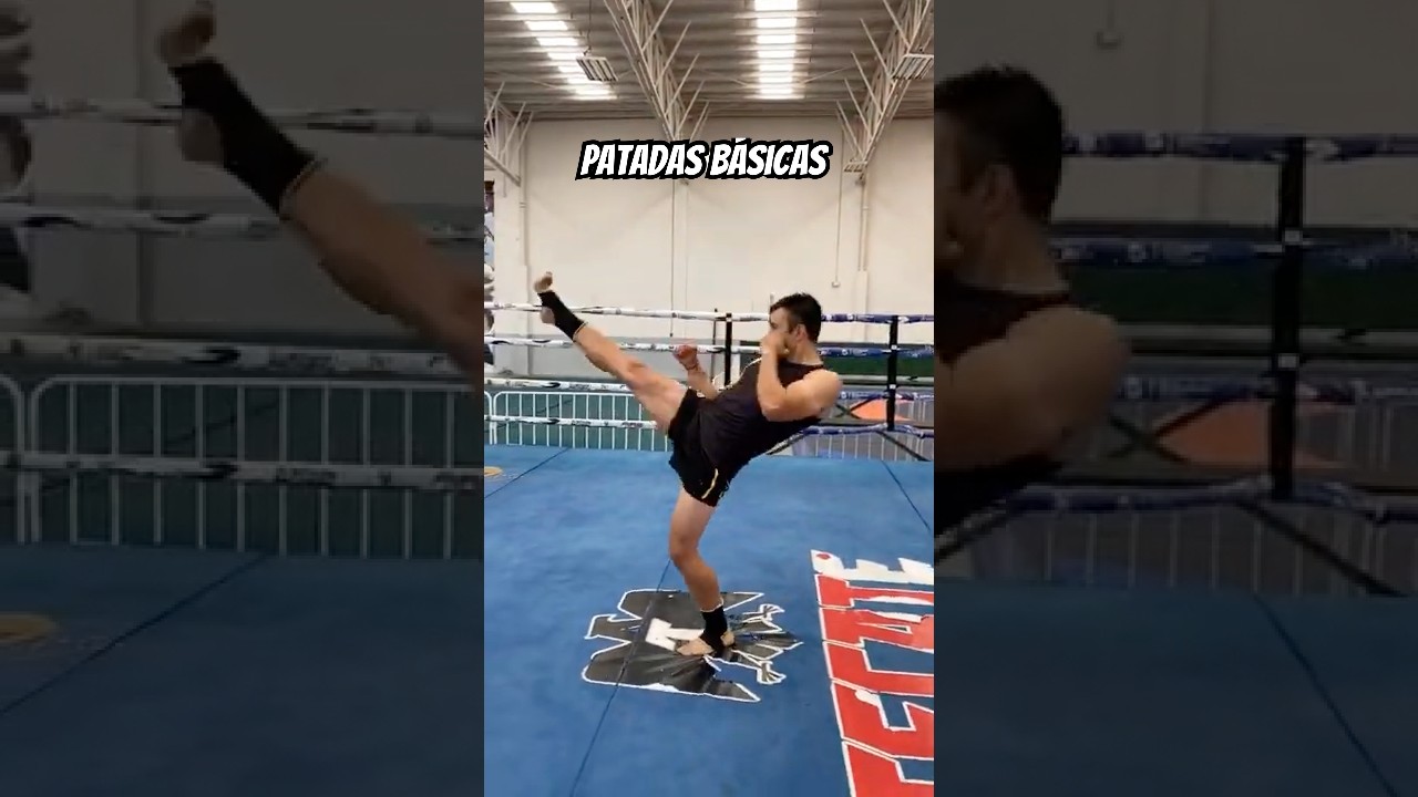 Patadas básicas de Kung Fu Sanda (Lv.1) (short video)