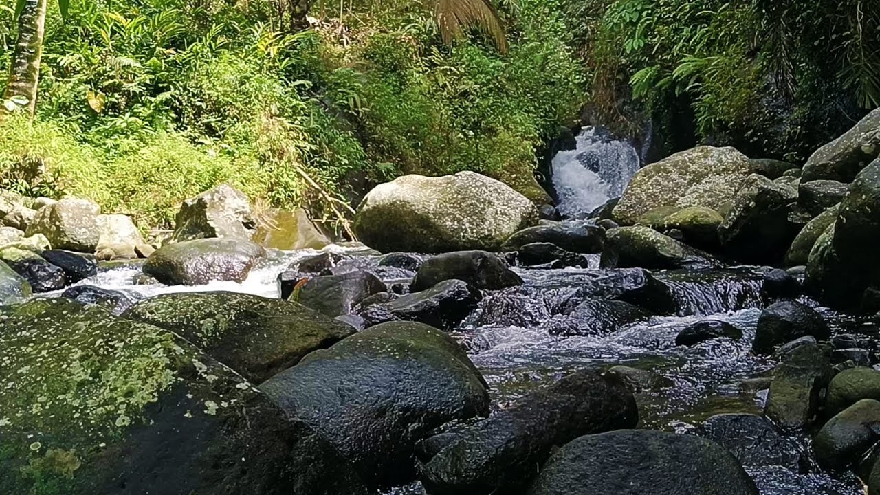 Rocky Mountain Stream 24/7 | Relaxing Water Sounds for Sleep, Study & Focus (4K)