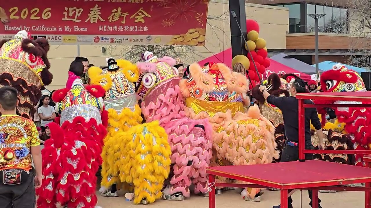 Lion Dance 2026 Lunar New Year District 56 Elk Grove California 