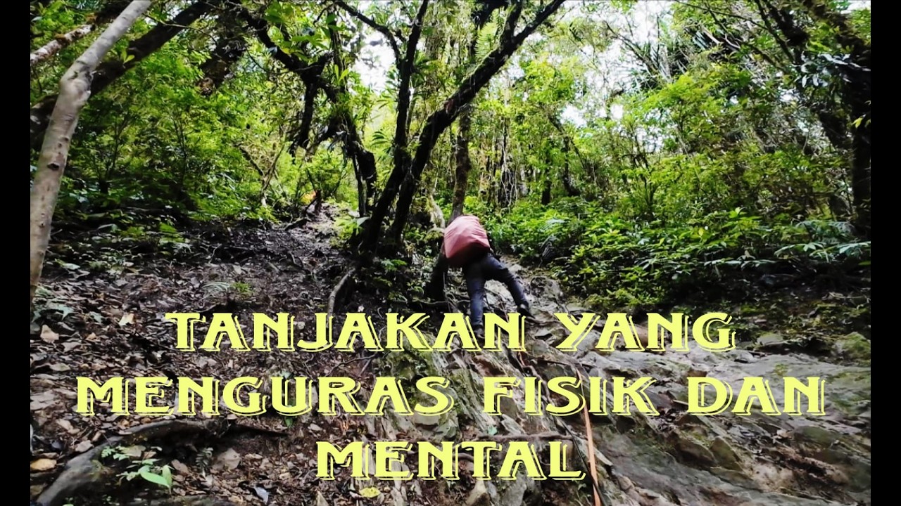 [Hiking] Pendakian G. Latimojong 2025 - Part 2 ~ Tanjakan terjal yang menyiksa fisik dan mental