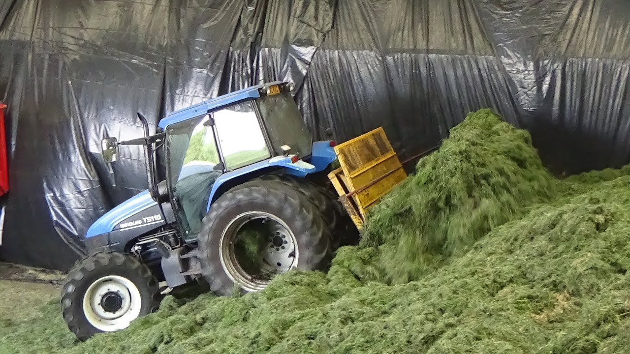 Fell Silage - On the Pit with New Holland TS115 & Ford - Silage 2018