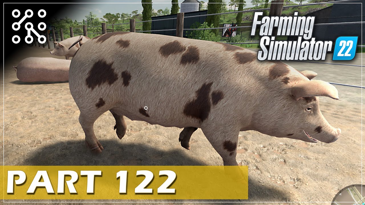 Krmení pro prasata EP122 | Farming Simulator 22 | Lets play | Česky