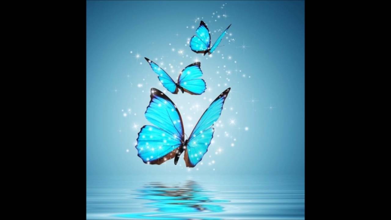 Crocoloko - The Voice Of Butterfly