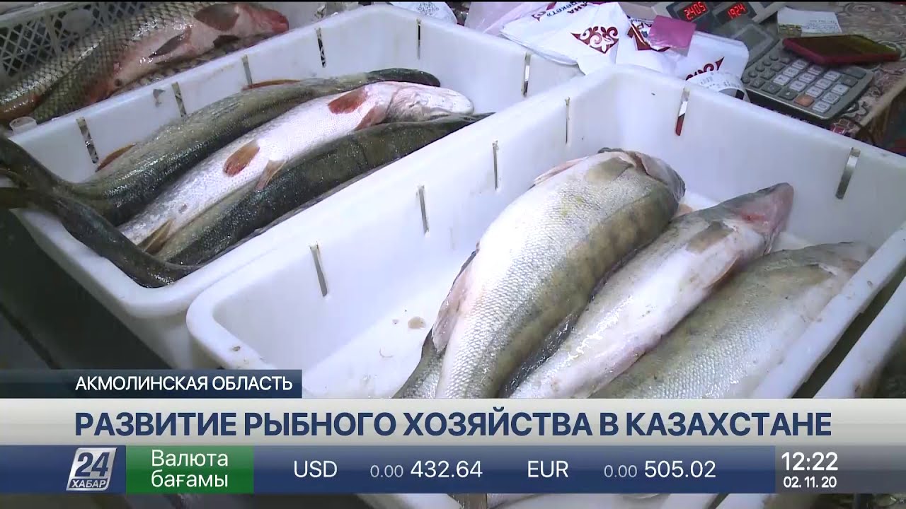 Субсидии для рыбного хозяйства могут увеличить в два раза