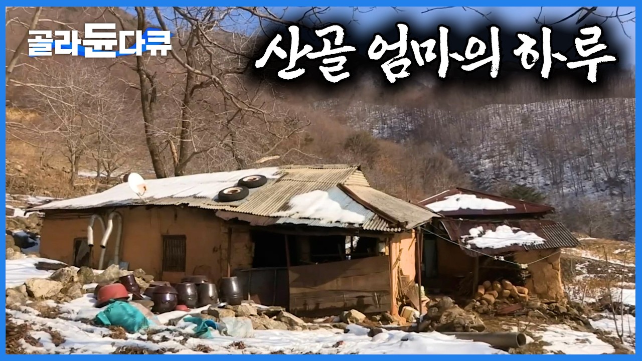 고양이 빼고 아무도 없다. 새막골 오지 사는 어머니의 하루｜자식들에게 부친 택배에 든 것｜영화 집으로 배경지｜한국기행｜#골라듄다큐
