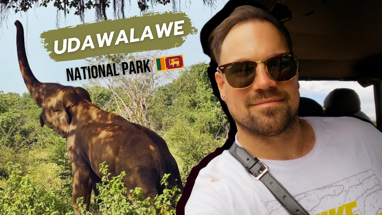 Unforgettable Safari Adventure 🇱🇰 (Sri Lanka)