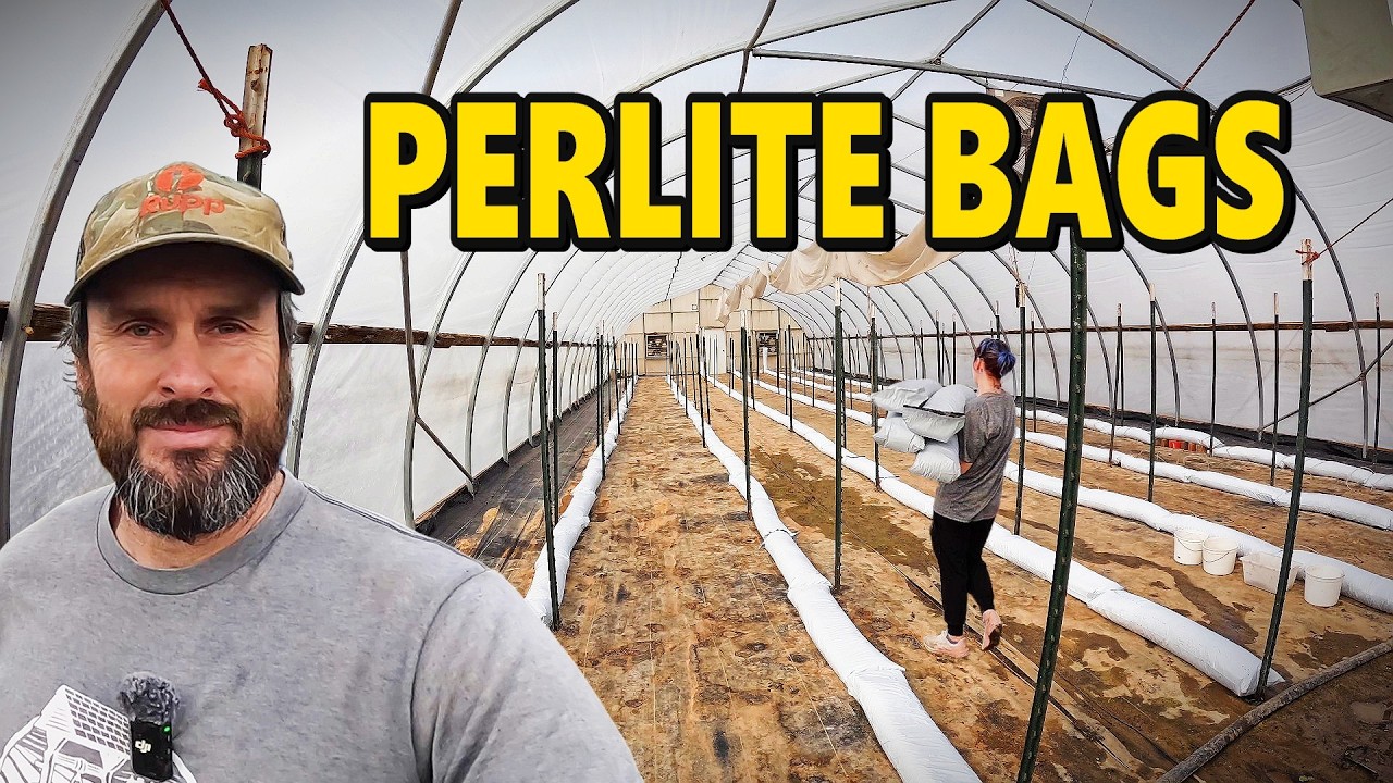 Something Sweet Is Coming… Greenhouse Prep Day