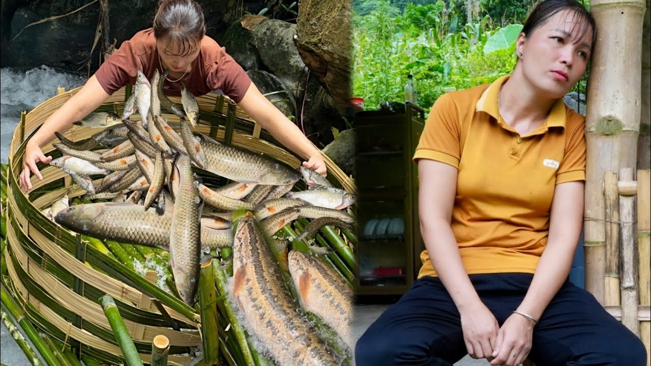295 days: Harvest bamboo shoots, fruits, corn and trap stream fish