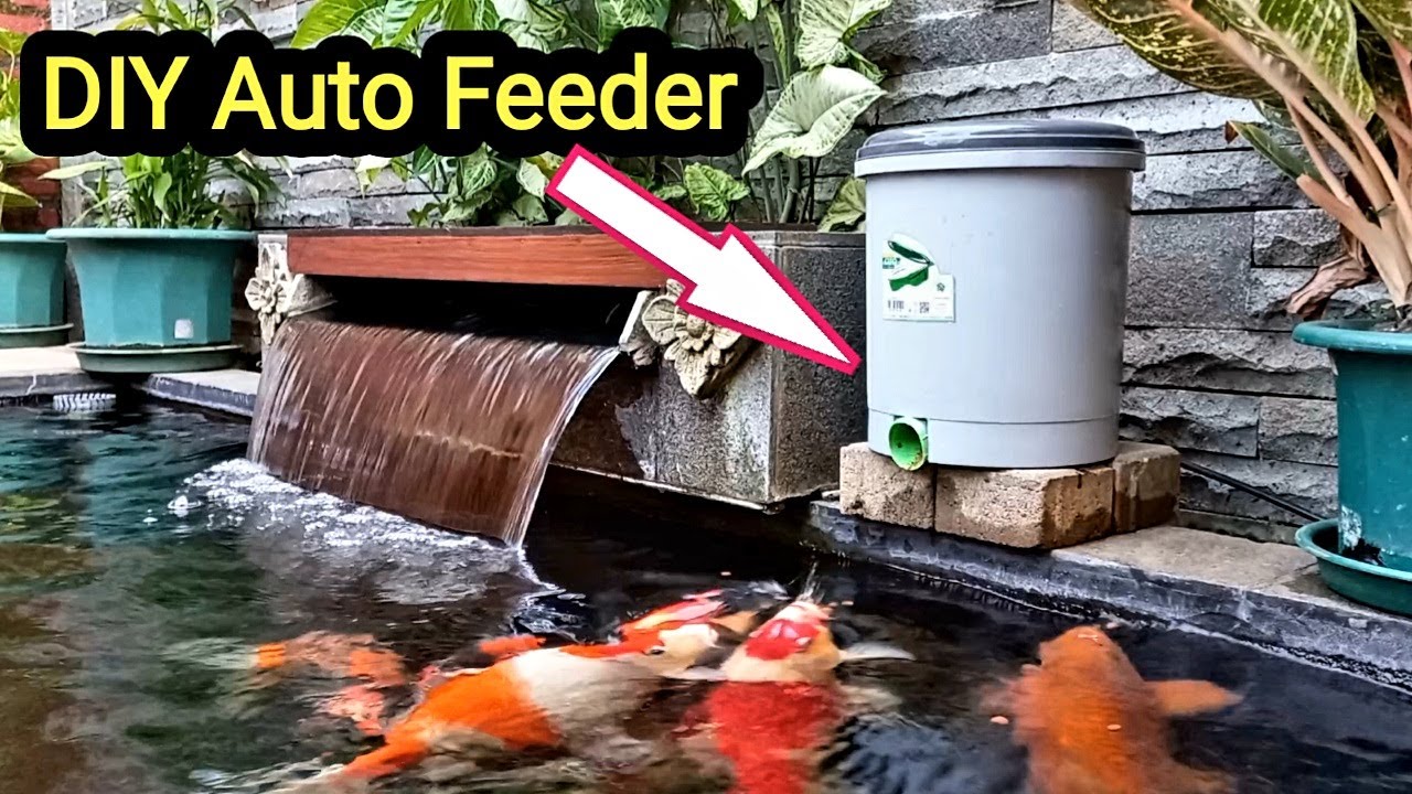 DIY Pakan Ikan Otomatis, Auto Feeder