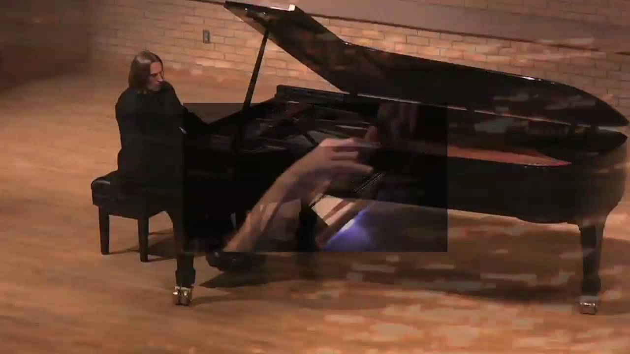 The Swan, piano (Saint-Saëns/Godowsky) | Silvije Vidovic