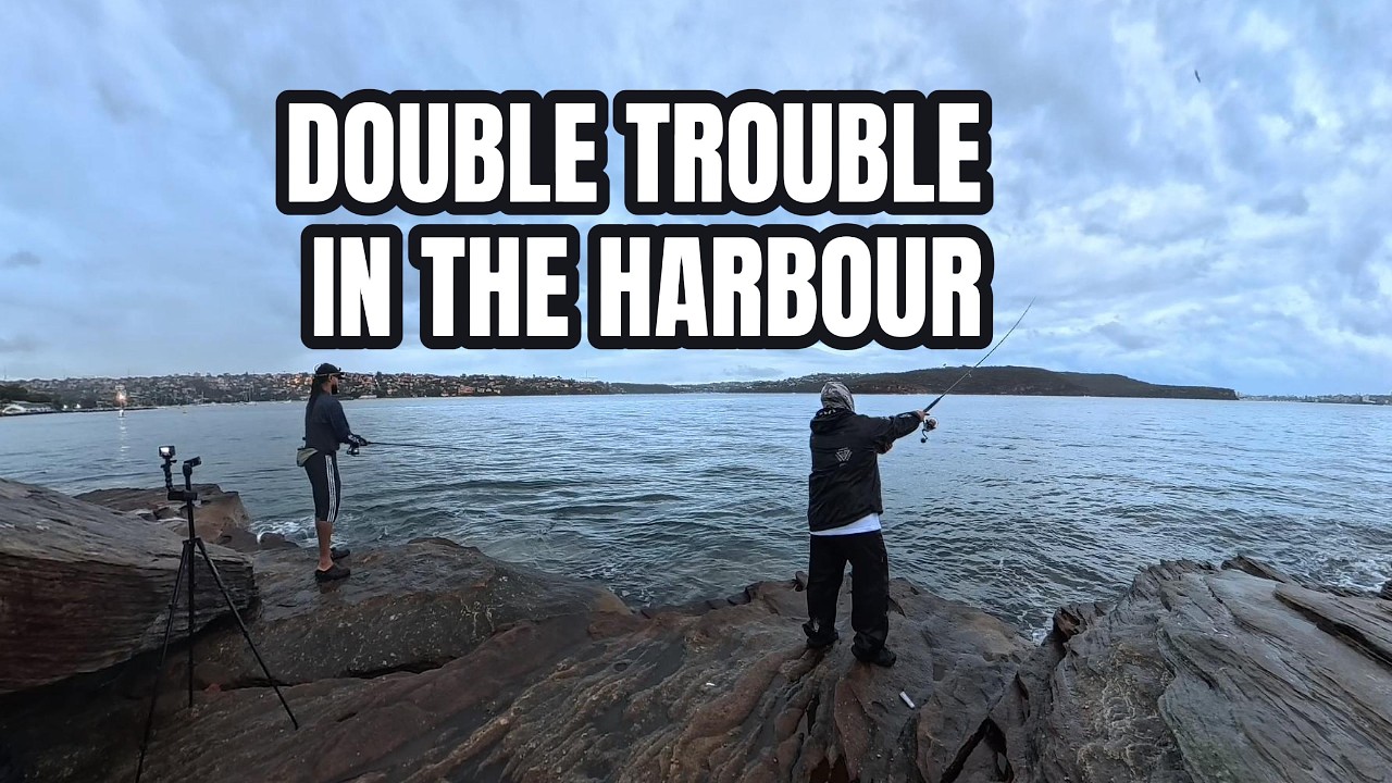 Harbour Link Up Went OFF!