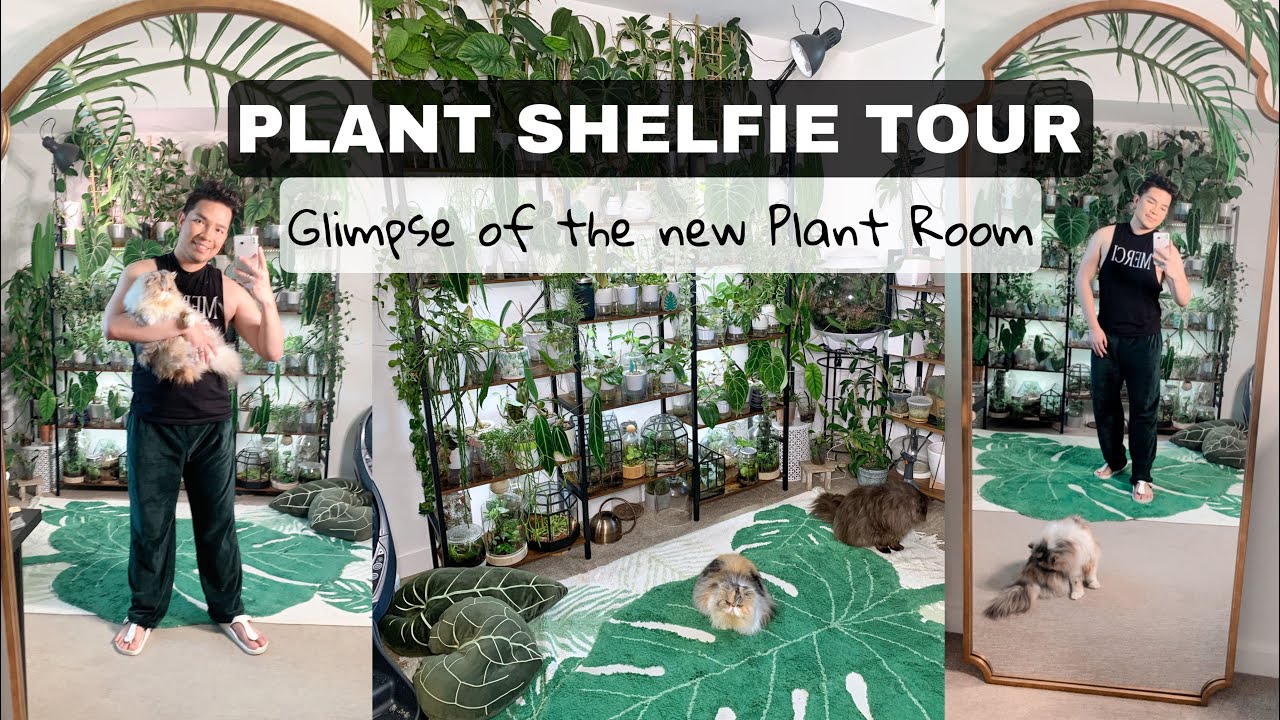 NEW PLANT SHELFIE TOUR 2022! 🪴 #plantcollection #planttour #plantshelfie