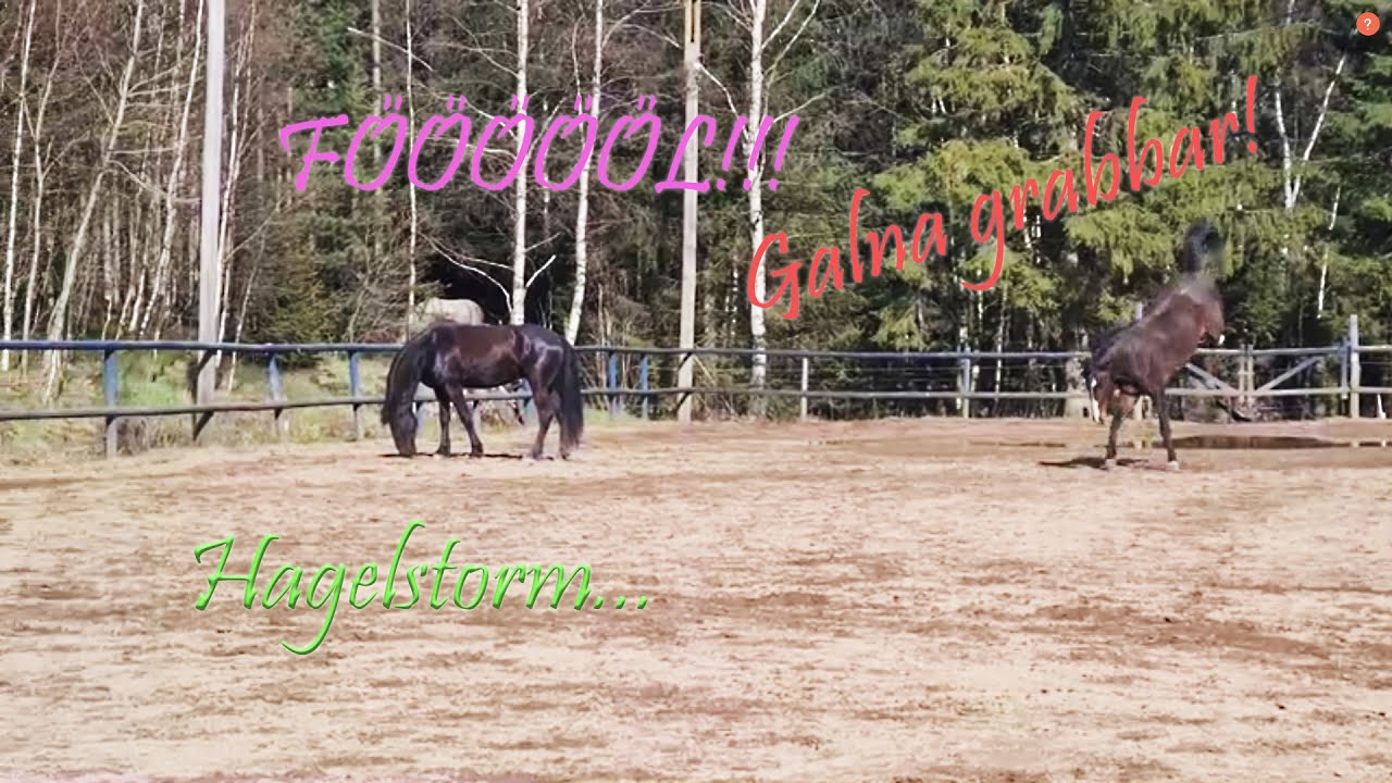 FÖÖÖÖLMYS! Och Hagelstorm...