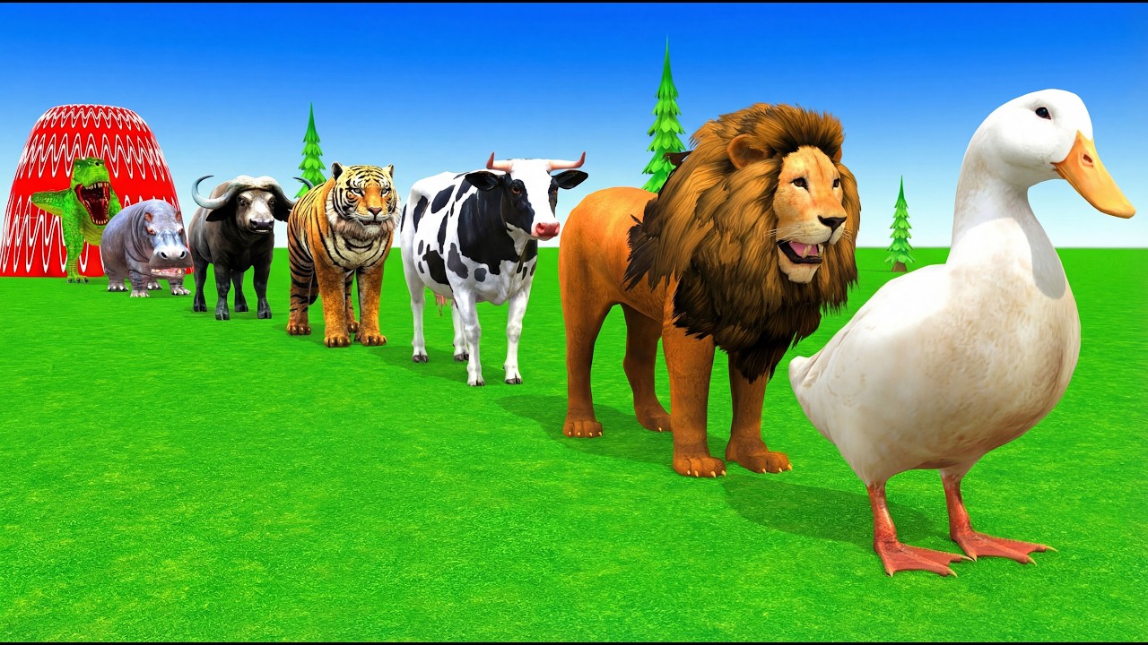 Long Slide Game With Cow Elephant Gorilla Hippopotamus Tiger 3d Animal Game Funny 3d AnimalsVideo